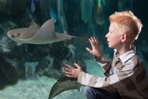 Hannover: SEA LIFE Ticket de entrada