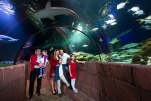 Hannover: SEA LIFE Ticket de entrada