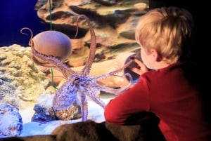 Hannover: SEA LIFE Ticket de entrada