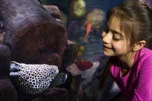 Hannover: SEA LIFE Ticket de entrada