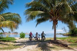 Best city tours in Havana