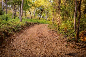 Hiking and Sunset Tour in Punta Sabana, Playa Puerto Viejo