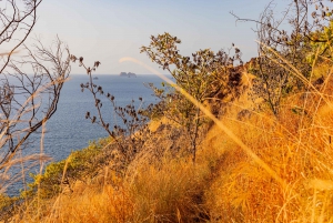 Hiking and Sunset Tour in Punta Sabana, Playa Puerto Viejo