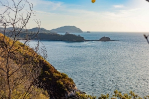 Hiking and Sunset Tour in Punta Sabana, Playa Puerto Viejo