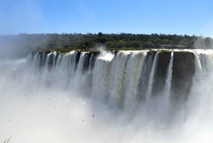 Iguazú: tour del barco gran aventura y cataratas argentinas