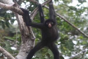 Iquitos: 7-Day Extreme Skill Survival Course