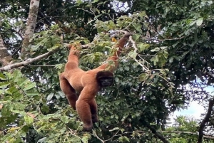 Iquitos: 7-Day Extreme Skill Survival Course