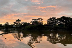 Iquitos: Curso de Supervivencia de Habilidades Extremas de 7 Días