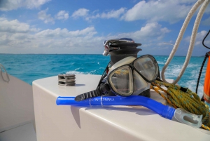 Excursión en catamarán por Isla Mujeres - transporte incluido