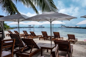 Isla Mujeres: Catamaran with Open Bar, Snorkeling and Lunch