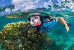 Isla Mujeres: Catamaran with Open Bar, Snorkeling and Lunch