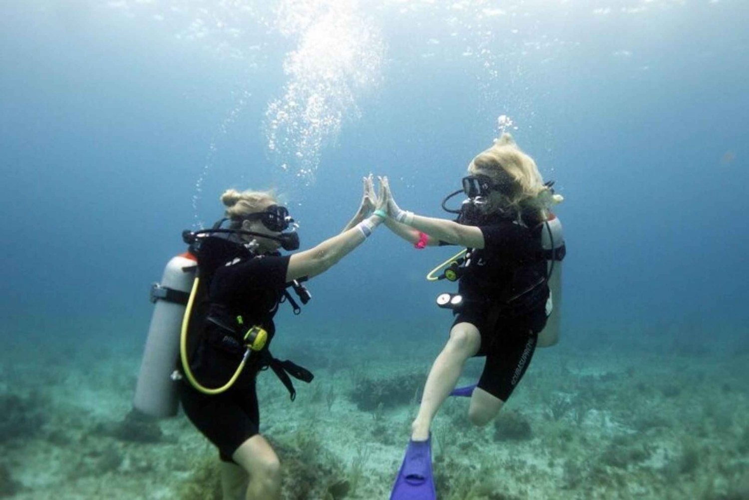 Isla Mujeres: Curso PADI Open Water Diver