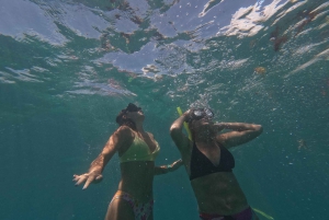 Isla Mujeres: Experiencia de snorkel en el Museo Subacuático