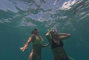 Isla Mujeres: Snorkel Experience in Underwater Museum