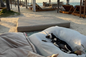 Club de playa Isla Tierra Bomba: Pase de un día con comida típica