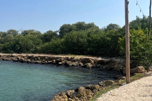 Club de playa Isla Tierra Bomba: Pase de un día con comida típica