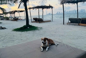 Club de playa Isla Tierra Bomba: Pase de un día con comida típica