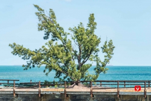 Key West | Self-Guided Audio Driving Tour