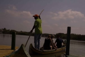 La Boquilla: tour en canoa de 3 horas por los manglares