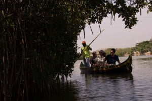 La Boquilla: 3-Hour Canoe Tour through the Manglars