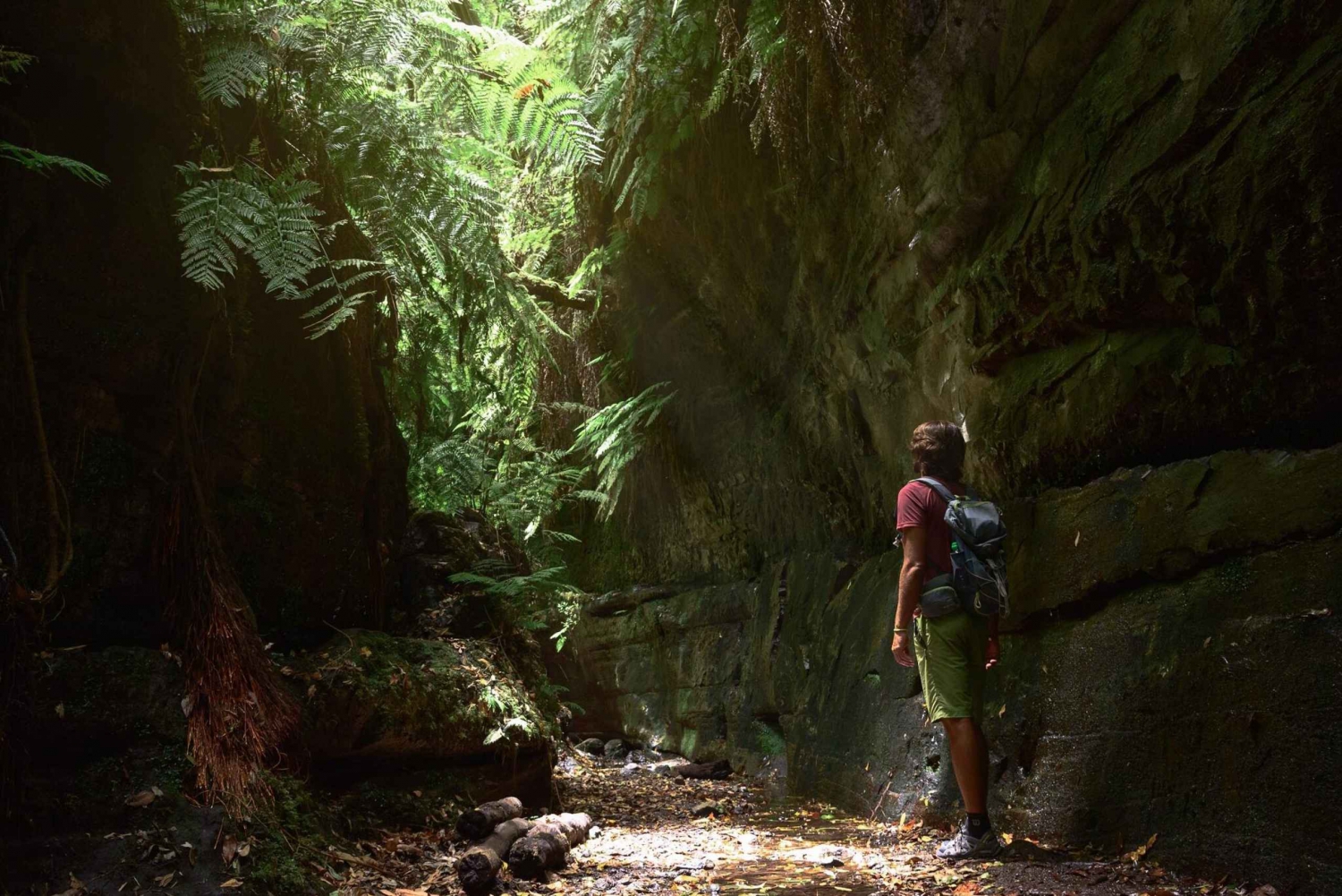 La Palma: Excursión guiada de senderismo al Cubo de la Galga