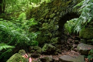 La Palma: Guided Trekking Tour To Cubo de la Galga