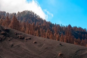 La Palma: Guided Volcano Trekking Tour