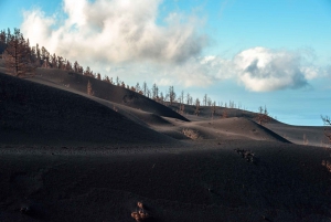 La Palma: Tour guiado de senderismo por el volcán