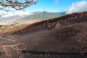 La Palma: The New Volcano closer than ever