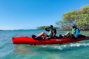 La Parguera: aventura en kayak a pedales Hobie