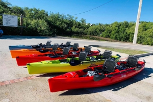 La Parguera: aventura en kayak a pedales Hobie