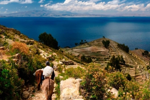 La Paz: excursión de día completo a Copacabana y la isla del Sol