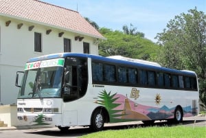 La Romana Airport: Round-Trip Private Transfer