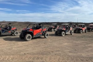 Lanzarote: Guided Can-Am Trail Buggy Tour