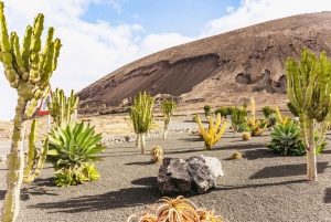 Lanzarote: tour guiado en buggy por el volcán