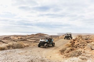 Lanzarote: tour guiado en buggy por el volcán