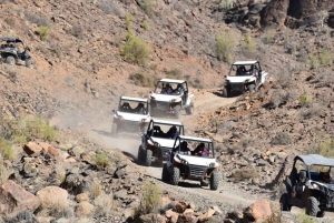 Las Palmas: Excursión guiada en Buggy por Gran Canaria