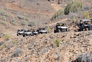 Las Palmas: Excursión guiada en Buggy por Gran Canaria