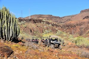 Las Palmas: Excursión guiada en Buggy por Gran Canaria