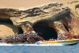 Lima: Paracas & Huacachina Premium Day Trip with Local Guide