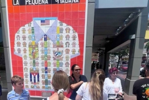 Paseo de compras por la Pequeña Habana con aperitivos y sorbos