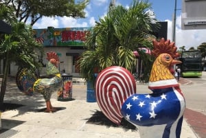 Visita degustación Pequeña Habana - en francés