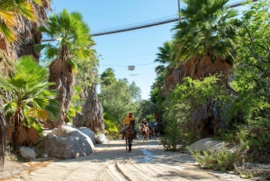 Los Cabos: Adventure Pass at Wild Canyon