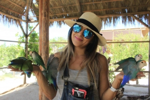 Los Cabos: Animal Sanctuary Tour