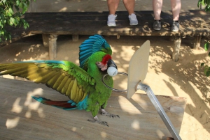 Los Cabos: Animal Sanctuary Tour