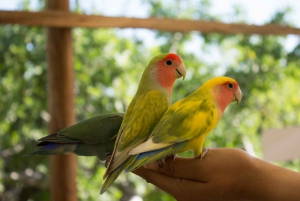 Los Cabos: Animal Sanctuary Tour