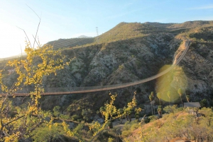 Los Cabos: Excursión al Santuario de Animales