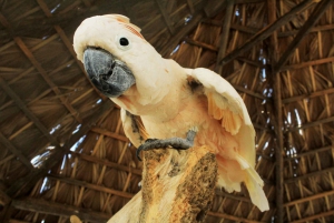 Los Cabos: Excursión al Santuario de Animales