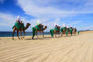 Los Cabos: safari en camello con almuerzo y degustación de tequila