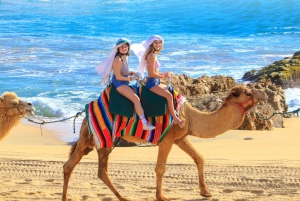 Los Cabos: Camel Ride Safari with Lunch and Tequila Tasting